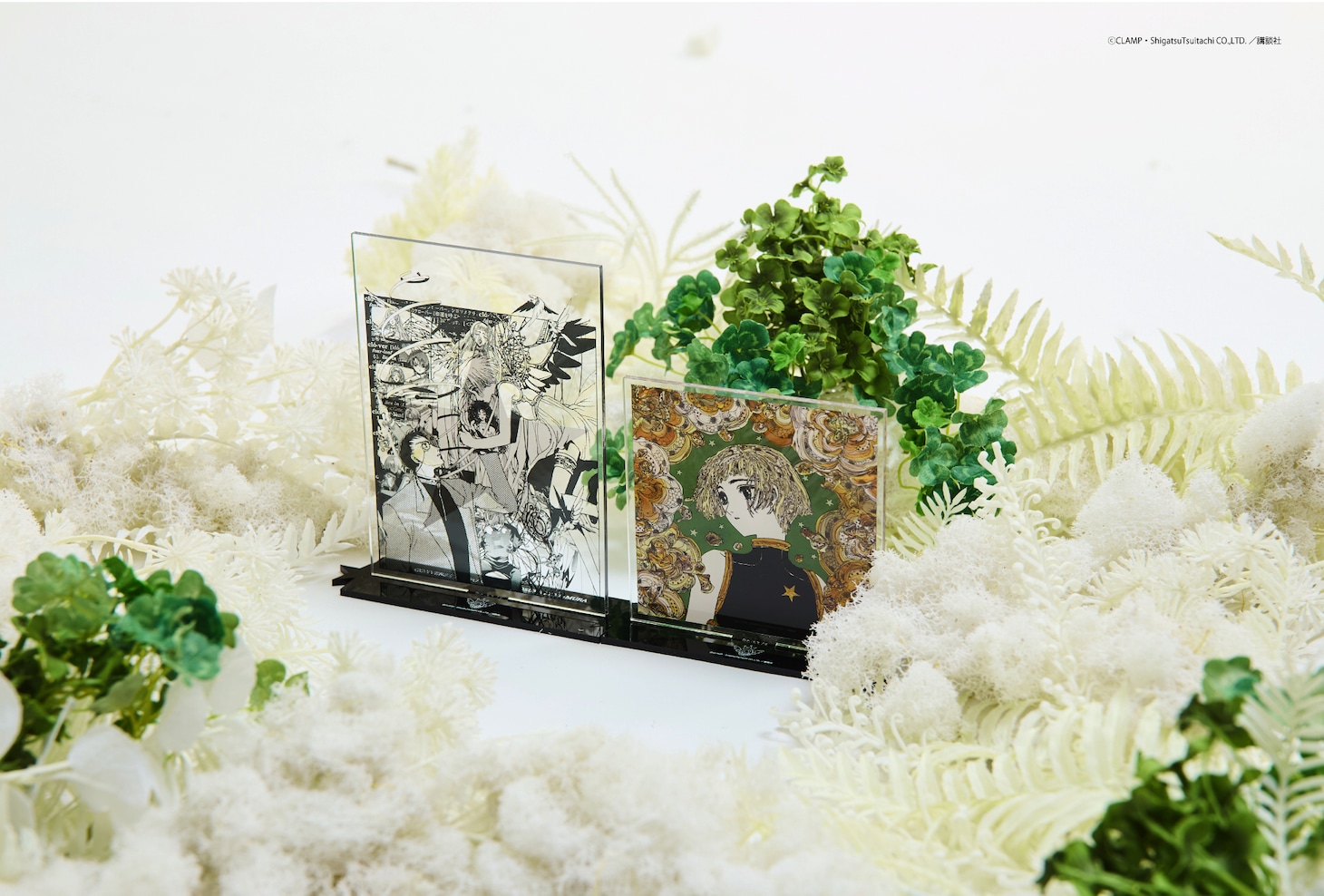 「GRAPHIC ACRYLIC STAND『CLOVER』」