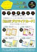 「カメレオンはてのひらに恋をする。」オンラインくじの購入特典ダブルチャンス概要