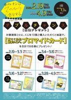 「カメレオンはてのひらに恋をする。」オンラインくじの購入特典ダブルチャンス概要