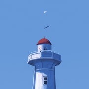 夏背アーティスト写真