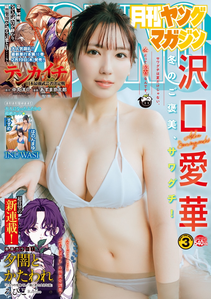 月刊ヤングマガジン3号