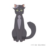 チークロ（CV：河瀬茉希）