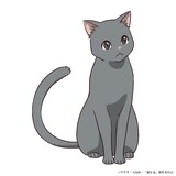 クロタマ（CV：徳留慎乃佑）