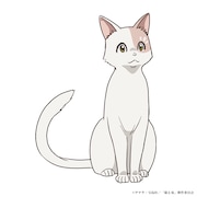 シロタエ（CV：和泉風花）