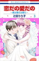 ス「恋だの愛だの～君は僕の太陽だ～」最終3巻