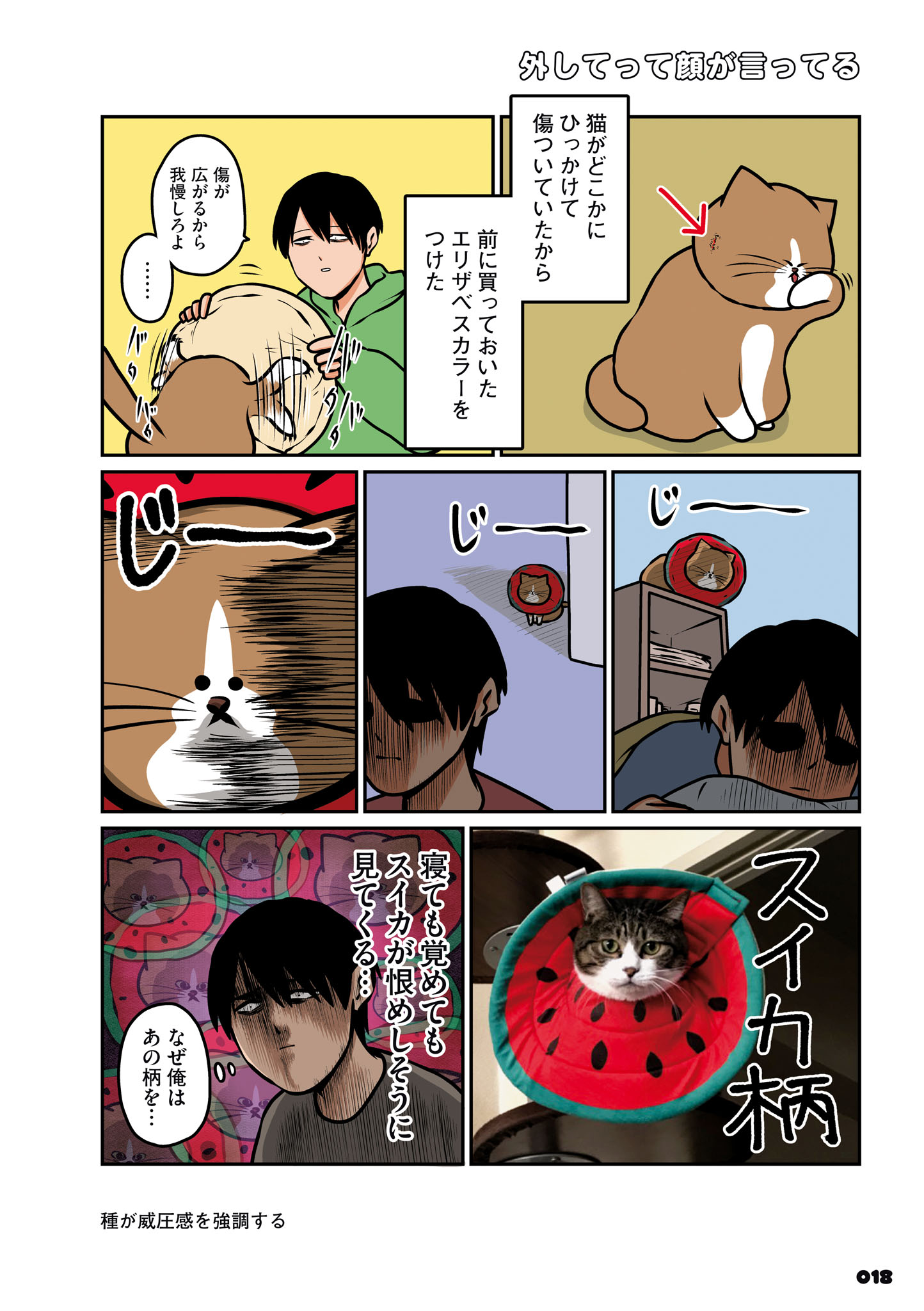 「鴻池剛と猫のぽんた ニャアアアン！」4巻より