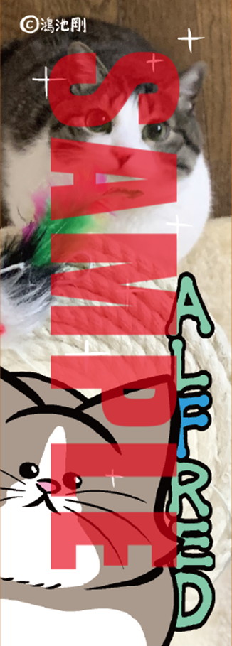 丸善ジュンク堂書店特典のオリジナルしおり