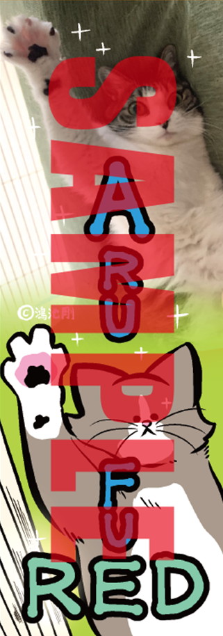 楽天ブックス特典のオリジナルしおり