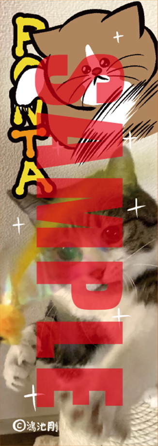 紀伊國屋書店、旭屋書店、啓文堂書店、紀伊國屋書店ウェブストア特典のオリジナルしおり