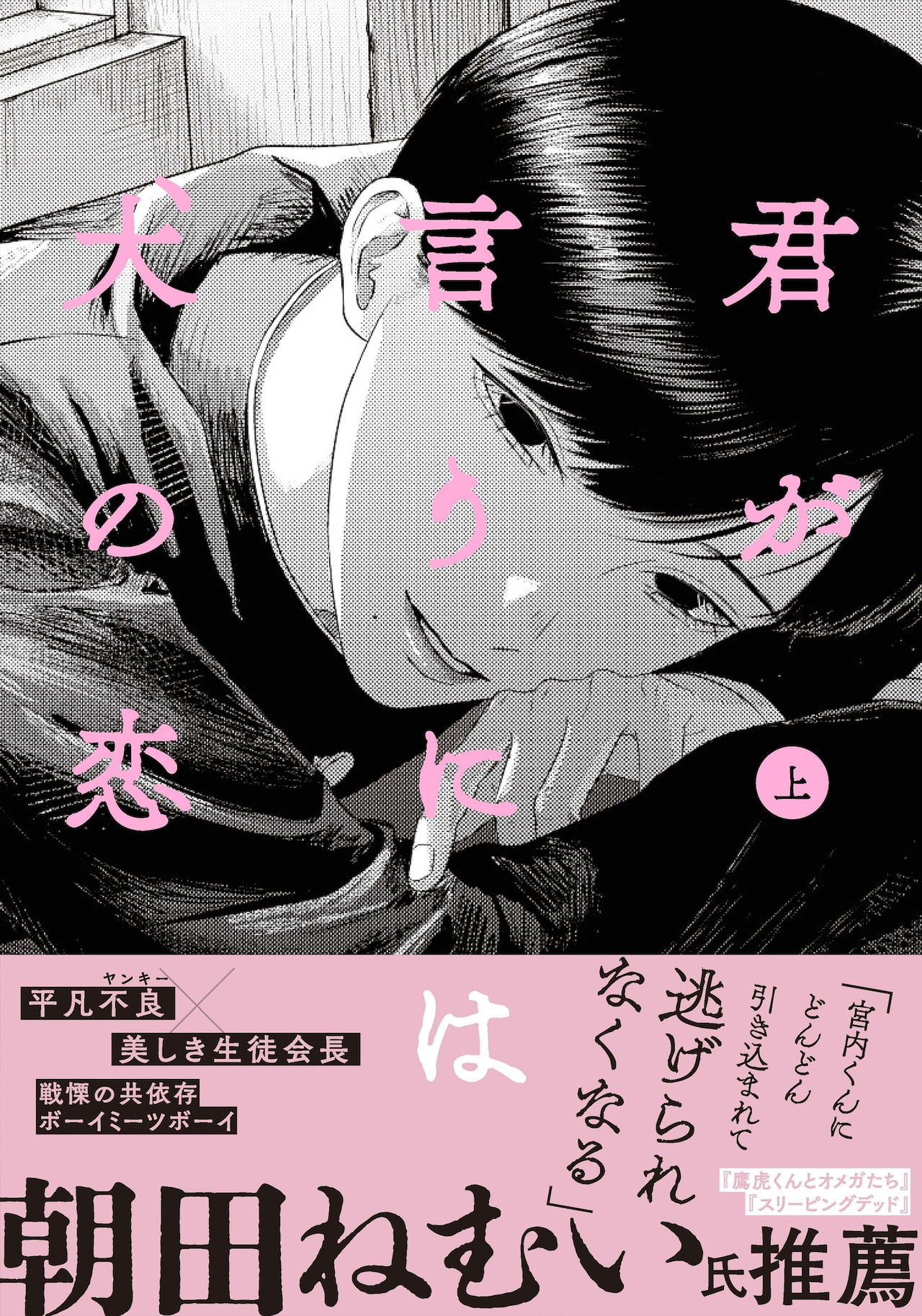 「犬になりたい」と願う不良が、素晴らしい飼い主と出会った「君が言うには犬の恋」