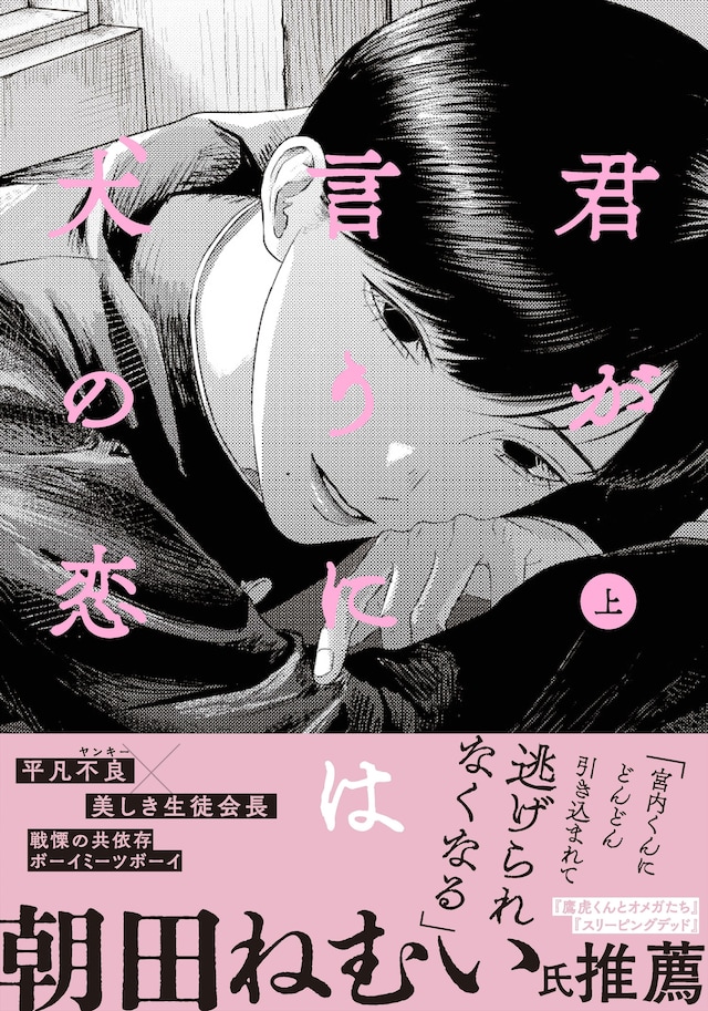 「君が言うには犬の恋」上巻（帯付き）