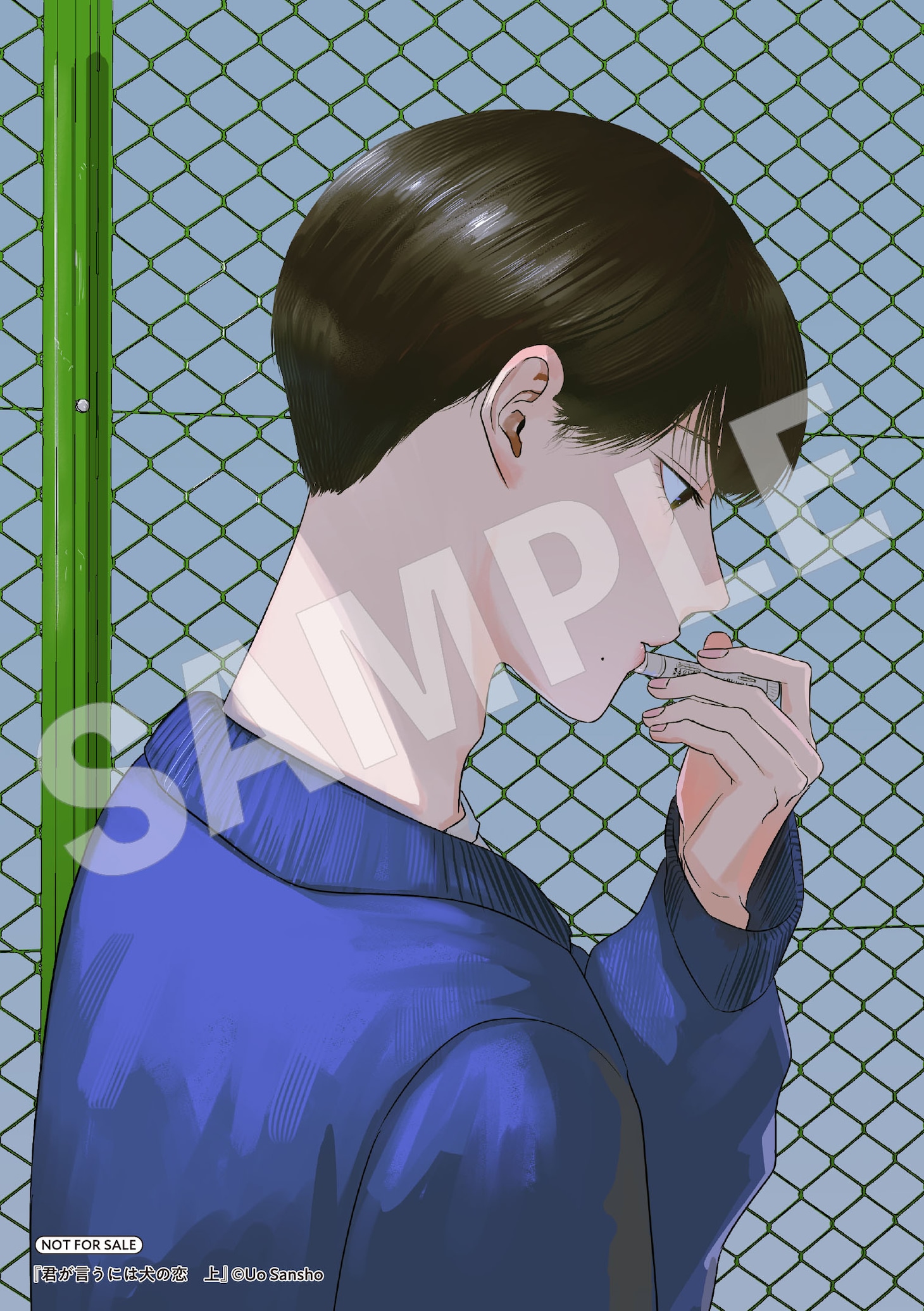 アニメイト特典のサンプル