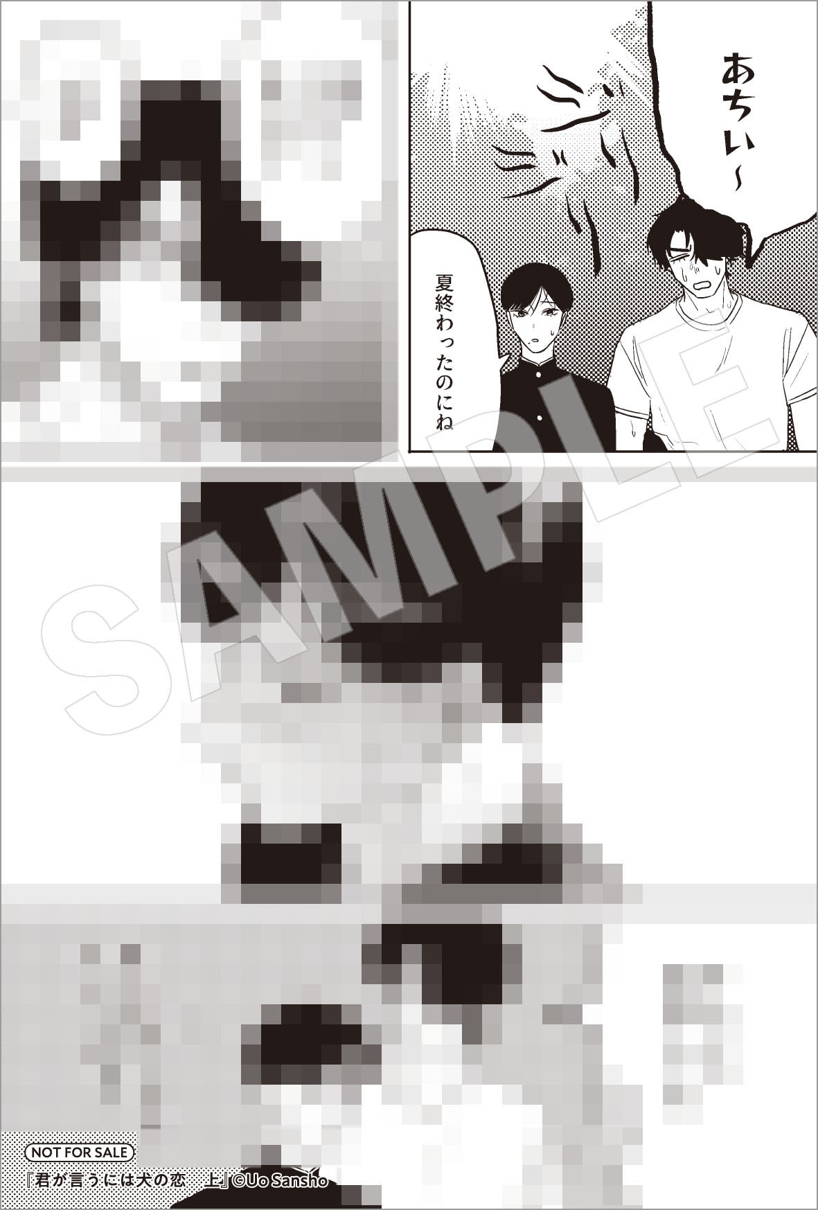 とらのあな特典のサンプル