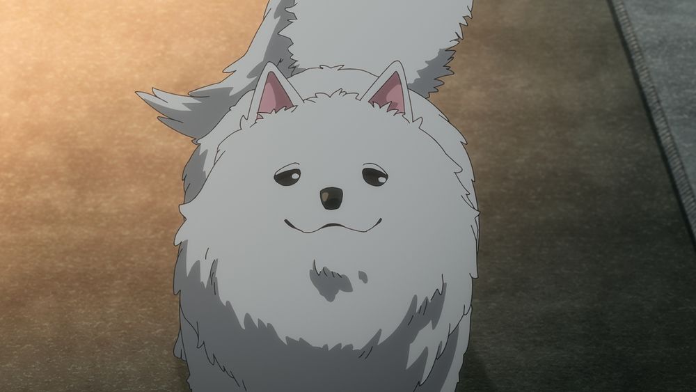 TVアニメ「ゆるキャン△ SEASON4」特報PVより