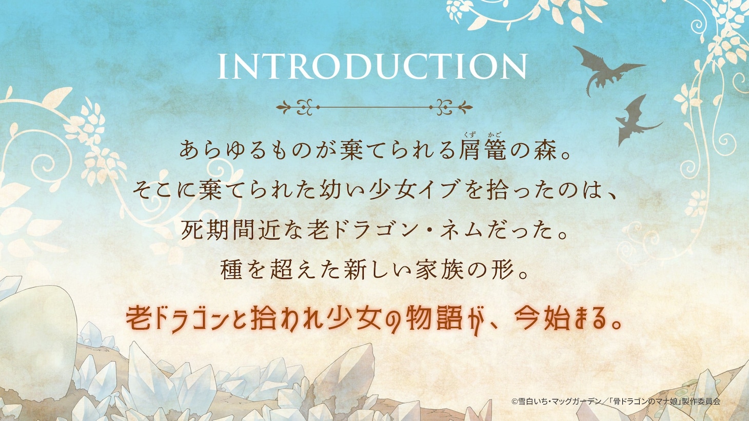 TVアニメ「骨ドラゴンのマナ娘」イントロダクション