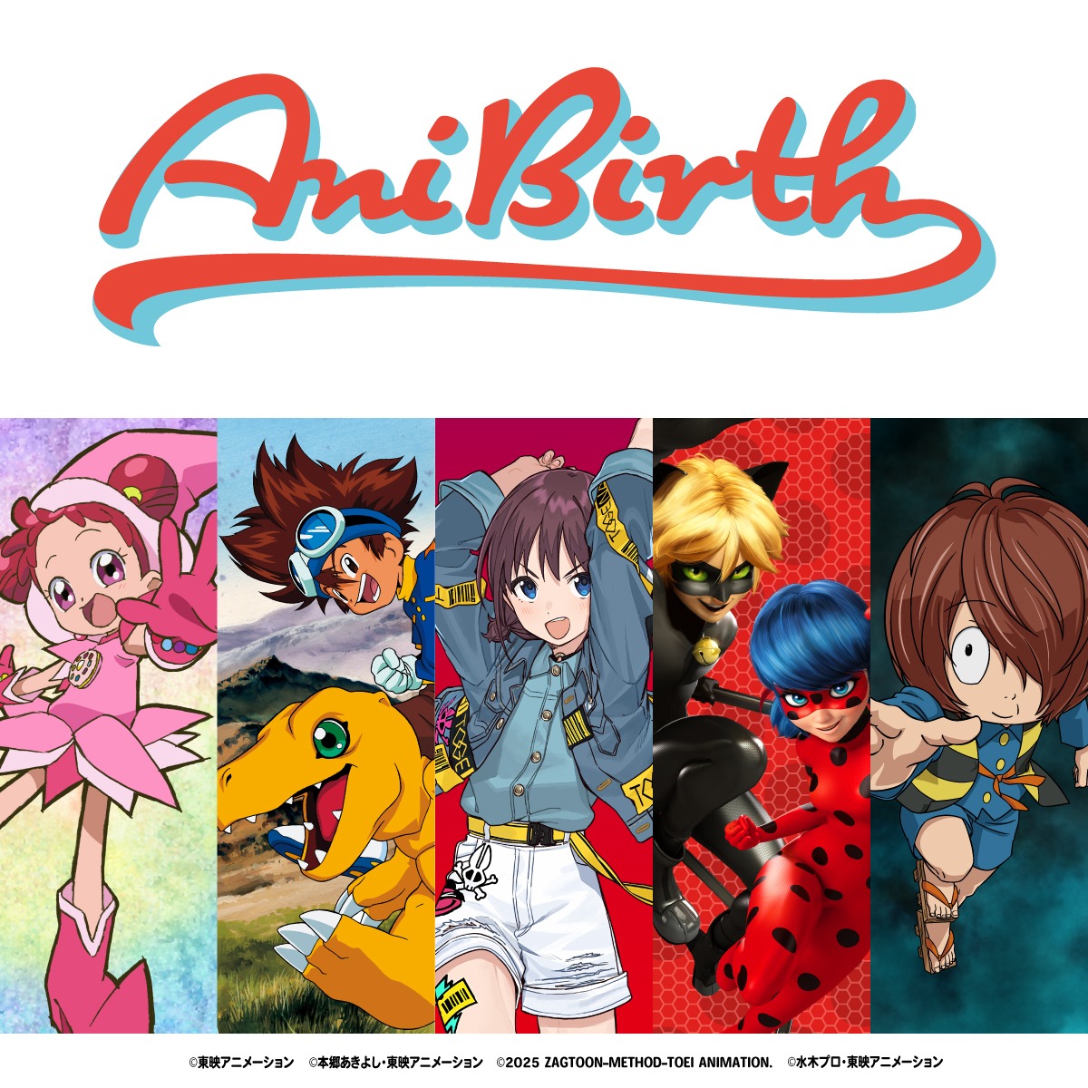 AniBirthビジュアル