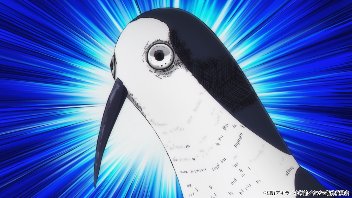 TVアニメ「クジマ歌えば家ほろろ」メインPVより (c)紺野アキラ／小学館／クジマ製作委員会