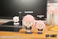 「KINOKOS」と「トレーディング KINOKOS mini」の比較