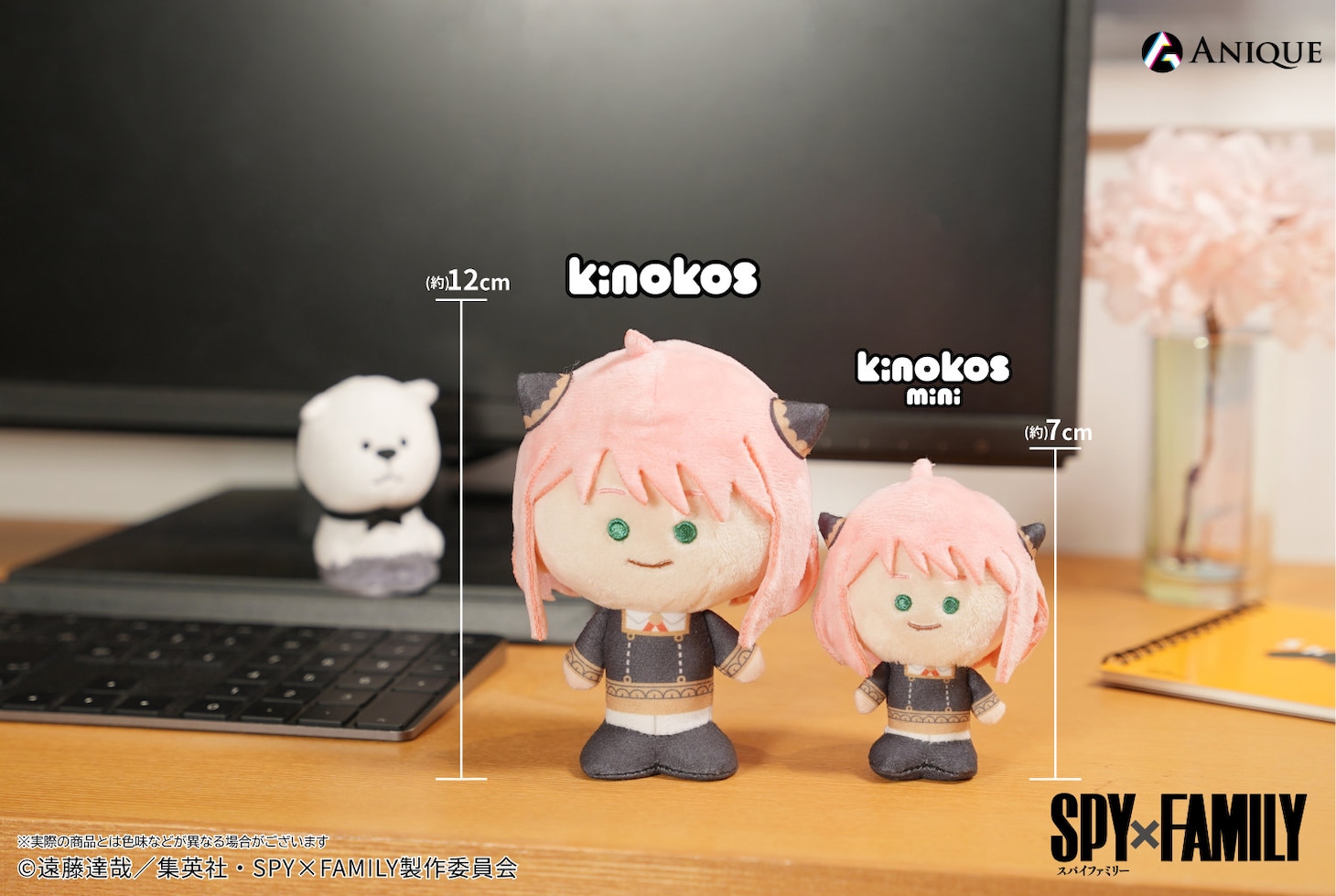 「KINOKOS」と「トレーディング KINOKOS mini」の比較