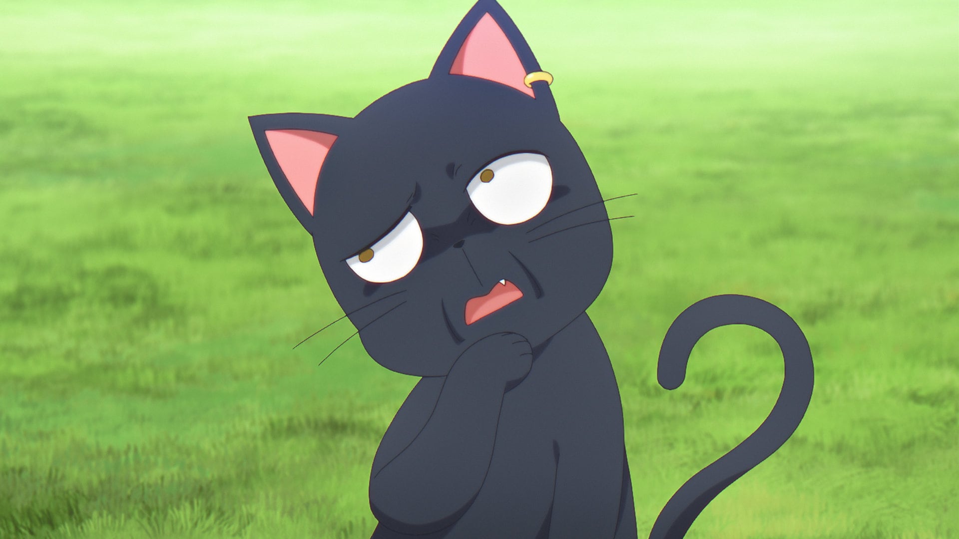 TVアニメ「黒猫と魔女の教室」第2弾メインPVより [画像・動画