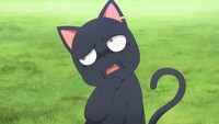 TVアニメ「黒猫と魔女の教室」第2弾メインPVより