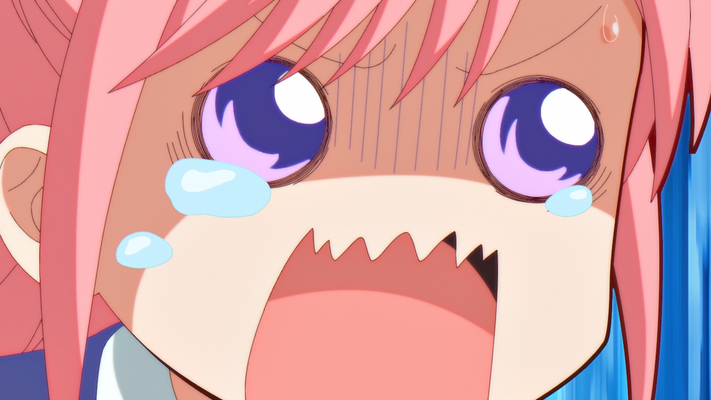 TVアニメ「黒猫と魔女の教室」第2弾メインPVより