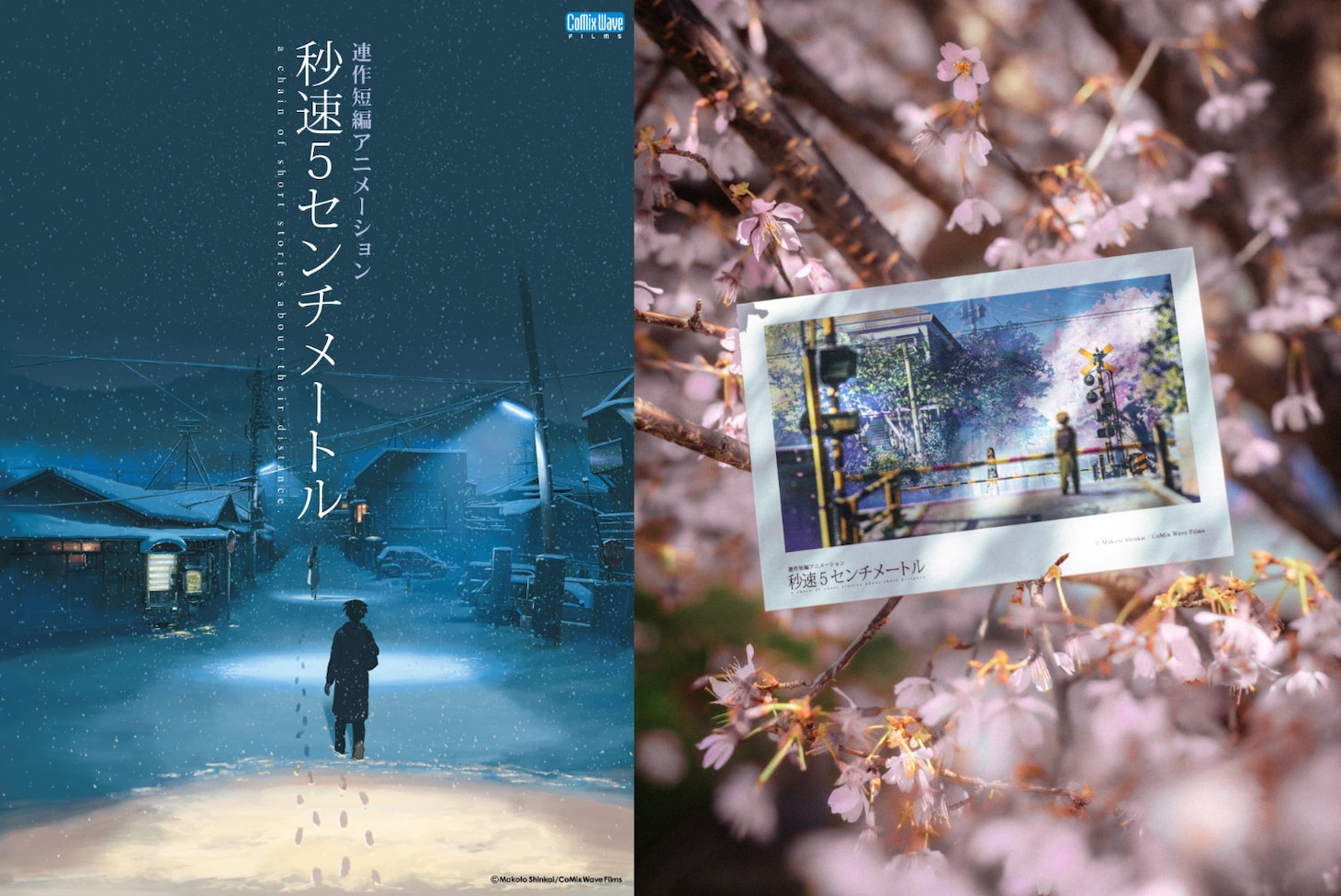 「秒速5センチメートル」ポスタービジュアルとリバイバル上映の入場者プレゼント