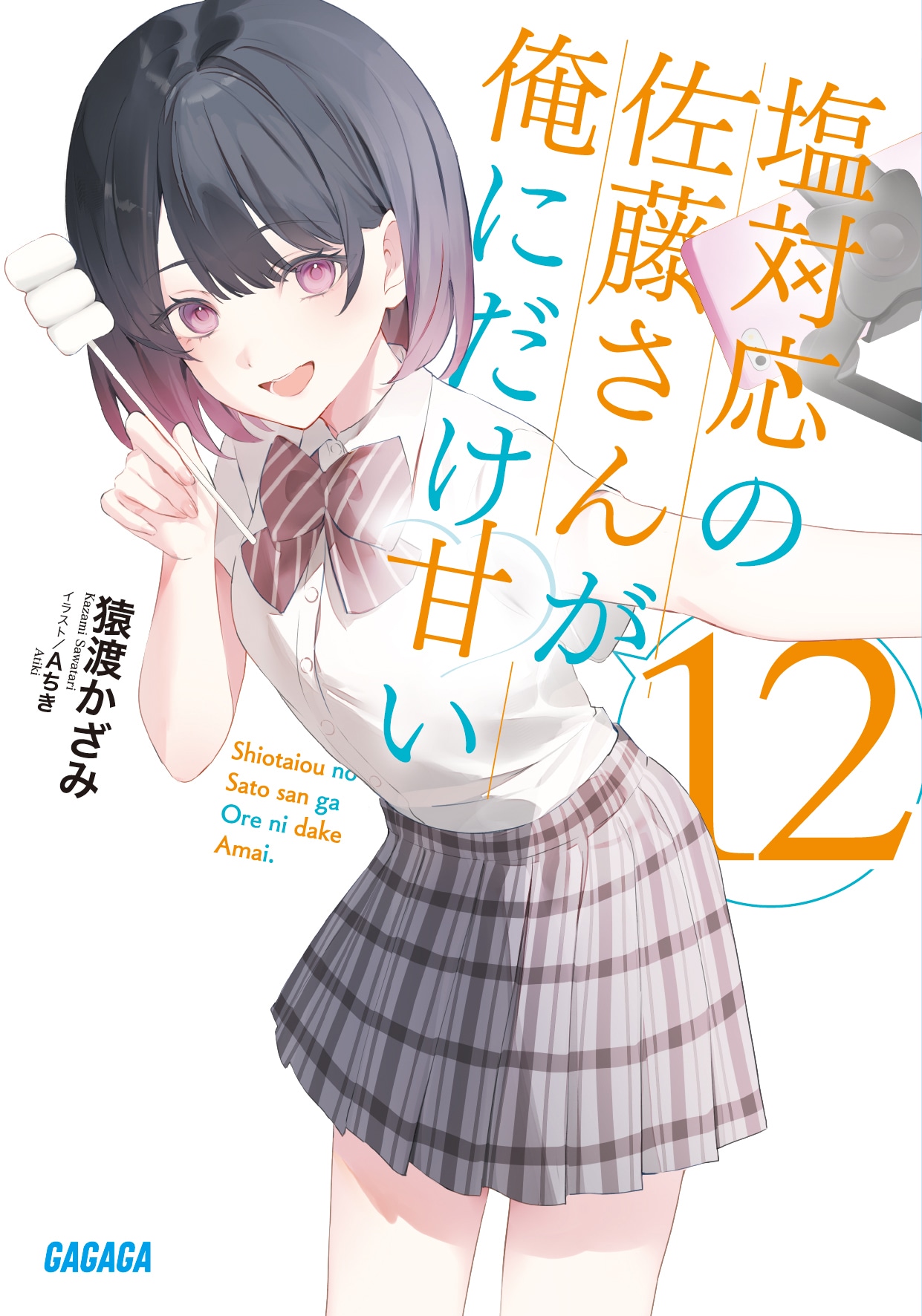 小説「塩対応の佐藤さんが俺にだけ甘い」12巻