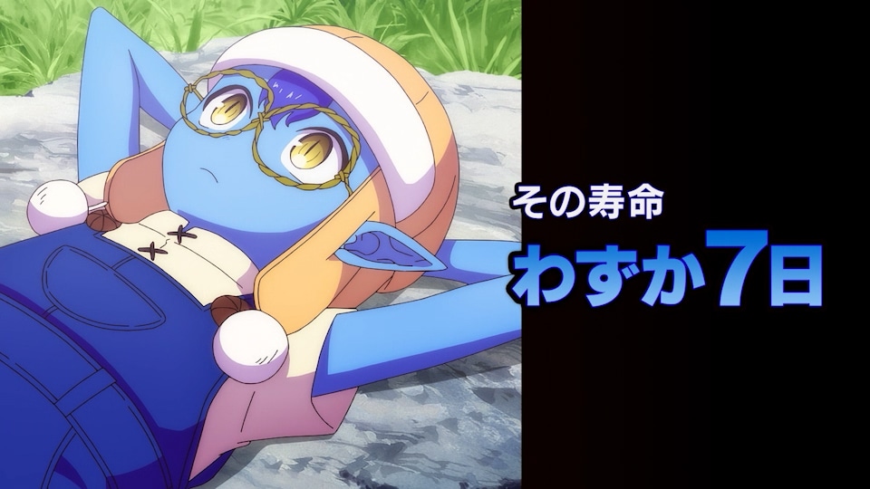 TVアニメ「転生ゴブリンだけど質問ある？」ティザーPVカット