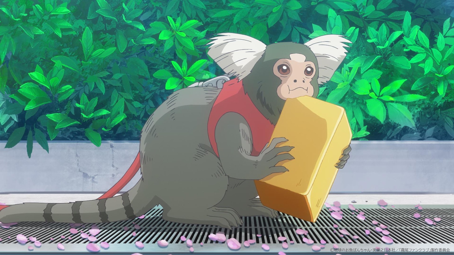 TVアニメ「霧尾ファンクラブ」第1話「拝啓、霧尾くん」先行カット