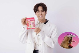 宮野真守、ロッテ「カジッテ」WebCMに出演していた　マーモット役として