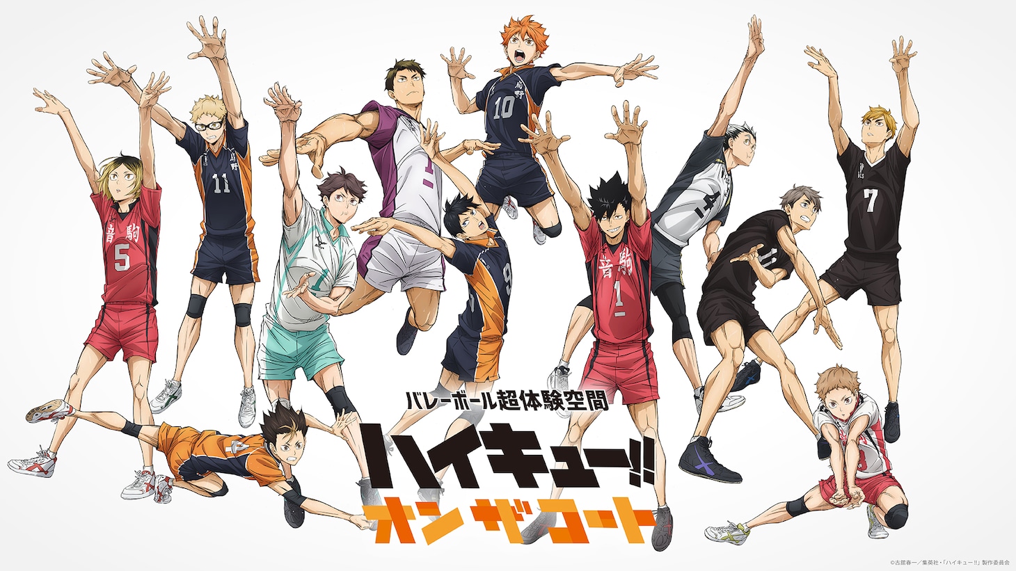 「バレーボール超体験空間『ハイキュー!! オン ザ コート』」キャラクター12人の描き下ろしビジュアル