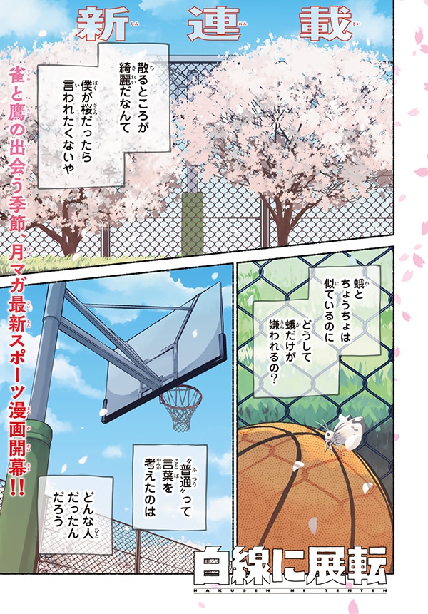 「白線に展転」より