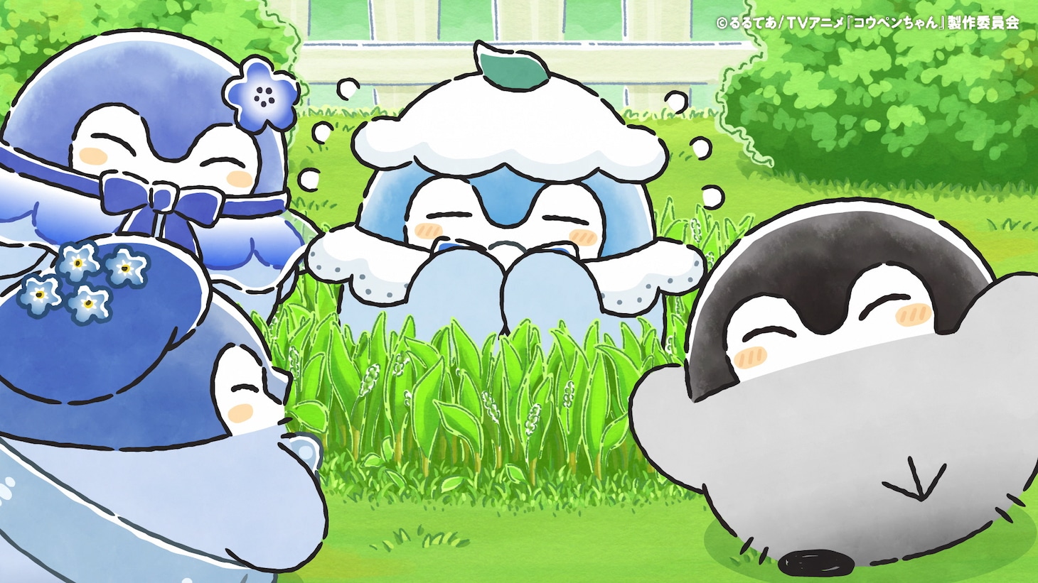 TVアニメ「コウペンちゃん」第54話「青いお花ちゃん」より