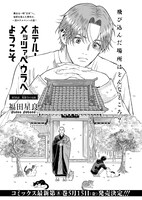 「ホテル・メッツァぺウラへようこそ」より