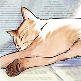 mikumoプロフィール画像