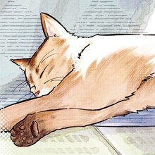 mikumoプロフィール画像