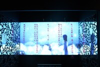 アイラとアクロバティックさらさらにフィーチャーした展示