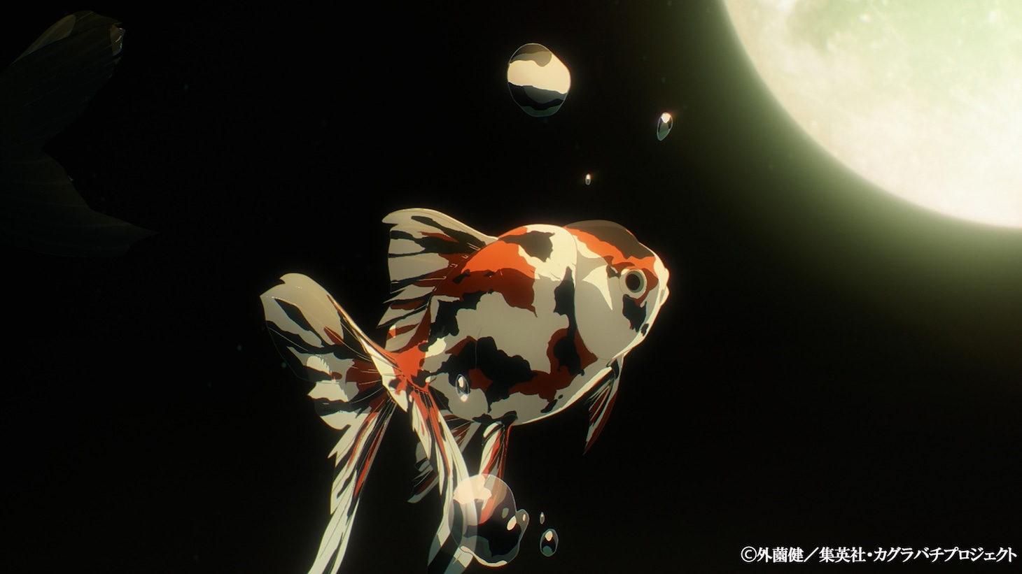 TVアニメ「カグラバチ」ティザーPV (c)外薗健／集英社・カグラバチプロジェクト