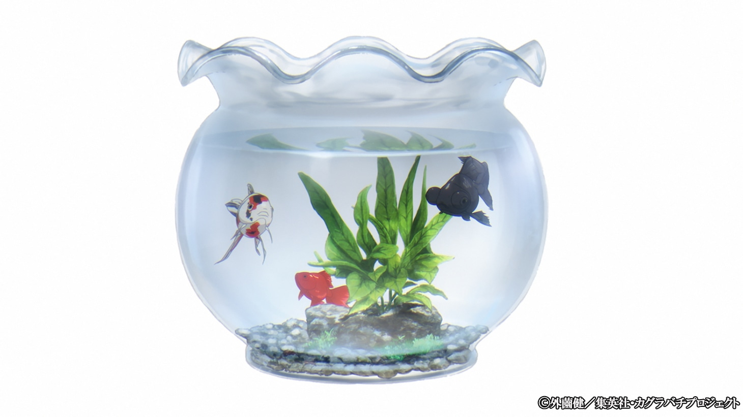 TVアニメ「カグラバチ」ティザーPV (c)外薗健／集英社・カグラバチプロジェクト