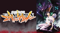 TVアニメ「新世紀エヴァンゲリオン」より