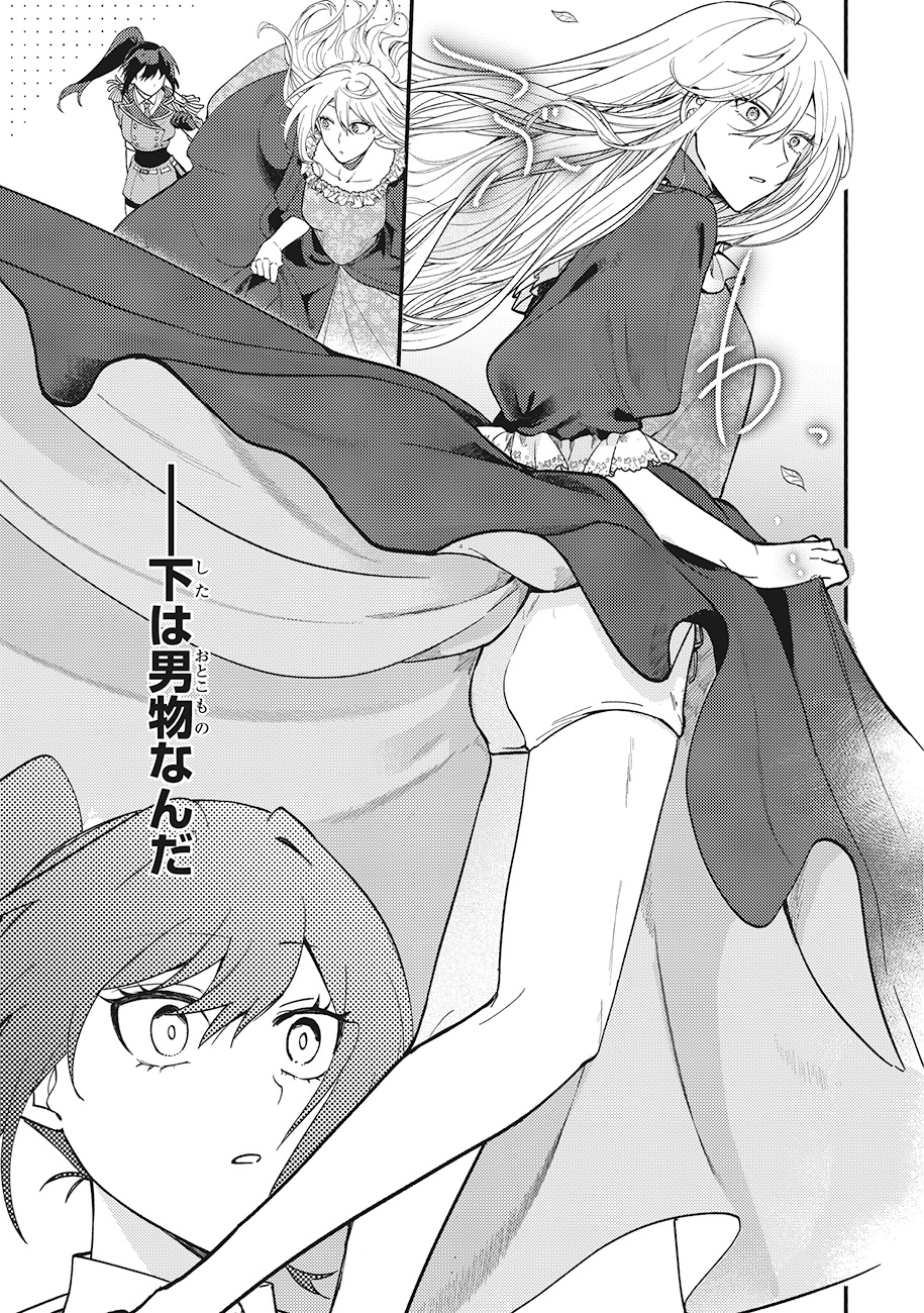 「確かに私は、お嫁さんが欲しいと言いました。　～女装の王子様はお断り！～」より