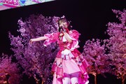 青空ひまり役の藤寺美徳