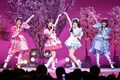 “ひみつ”で深まるアイプリの絆！いのり＆あおいも初登場、桜満開「アイプリ」ライブ