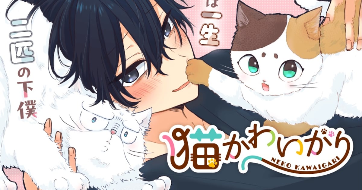 猫かわいがり男子の猫ライフに心温まる