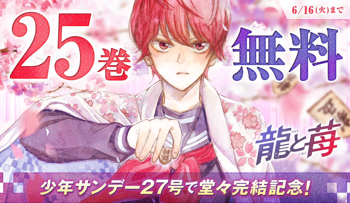 将棋漫画　龍と苺　全巻セット　２４冊　柳本光晴 柳本光晴の「龍と苺」が完結 棋界に現れた新星を描く将棋マンガ