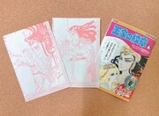「王家の紋章」フキダシにメモを書き込める「伝言BOOK」プリンセス付録が復刻