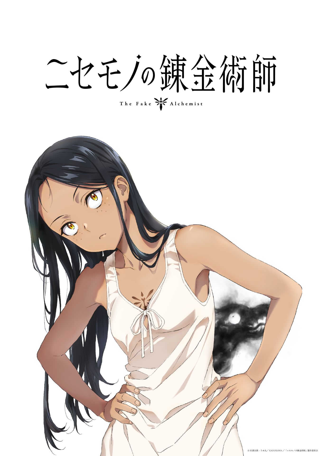 「ニセモノの錬金術師」TVアニメ化、制作はパッショーネ　ティザービジュアル＆PV公開