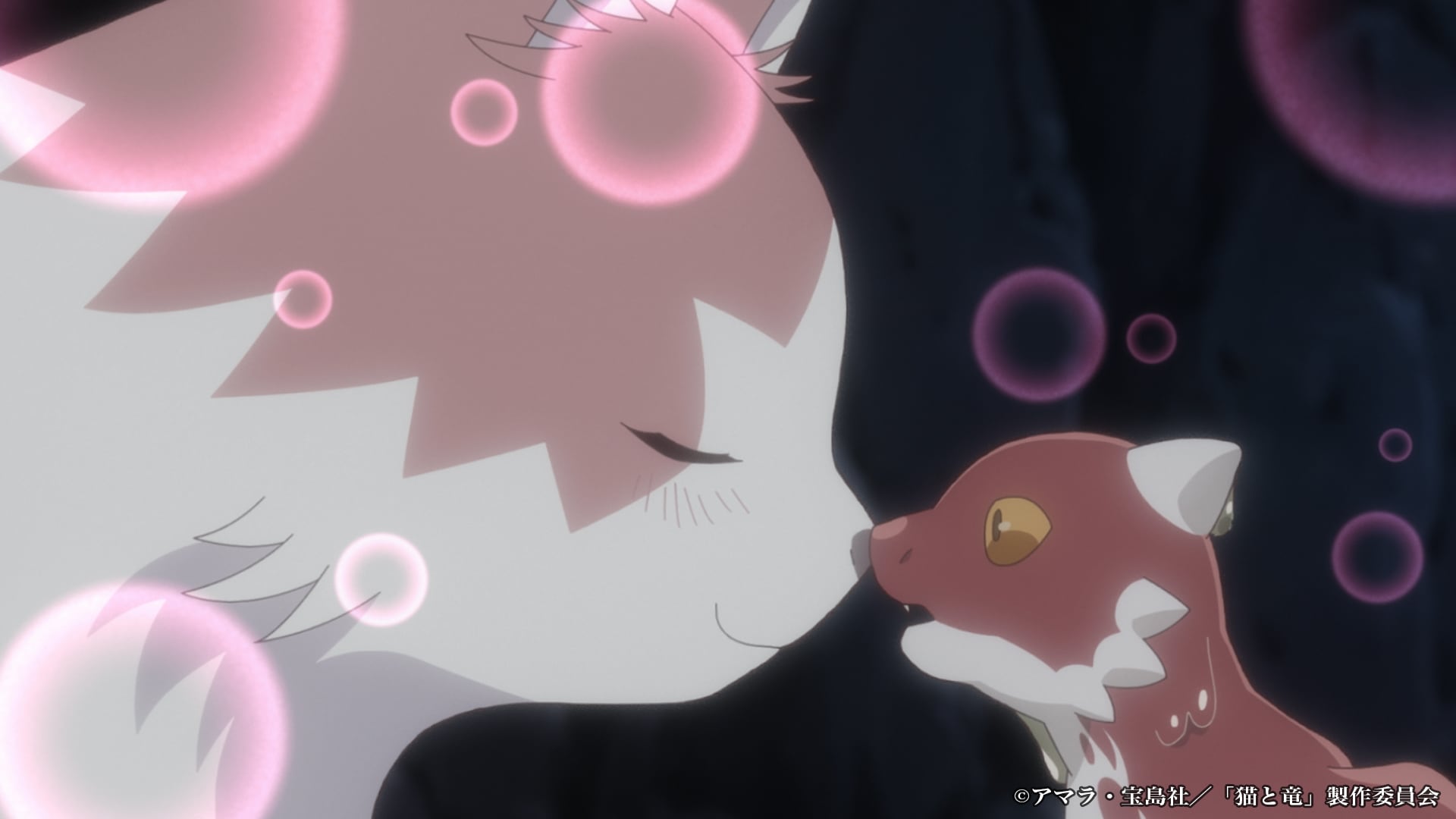 アニメ「猫と竜」第1話場面カット公開　出産したばかりの母猫が小さな竜を拾う　