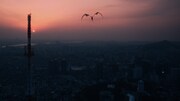 「劇場版 俺だけレベルアップな件 -Beyond the System-」特報映像カット